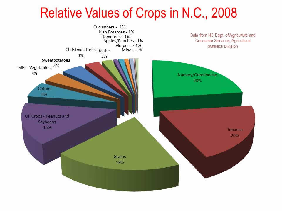 Pie chart with relative values of NC agriculture 2008