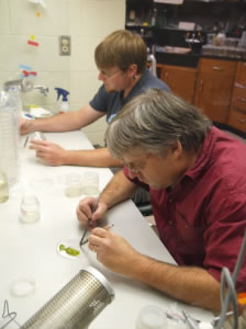Darren and Jeremy working in lab