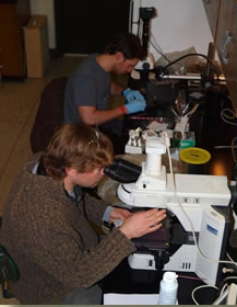 researcher using microscope