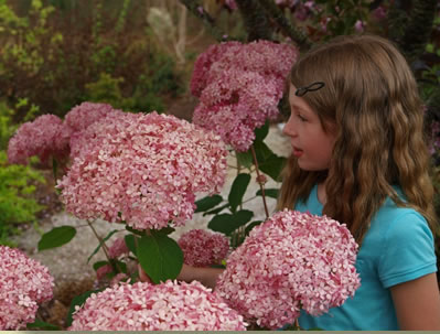 Child with blossoms