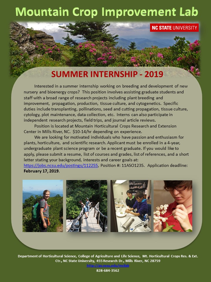 Summer internship brochure