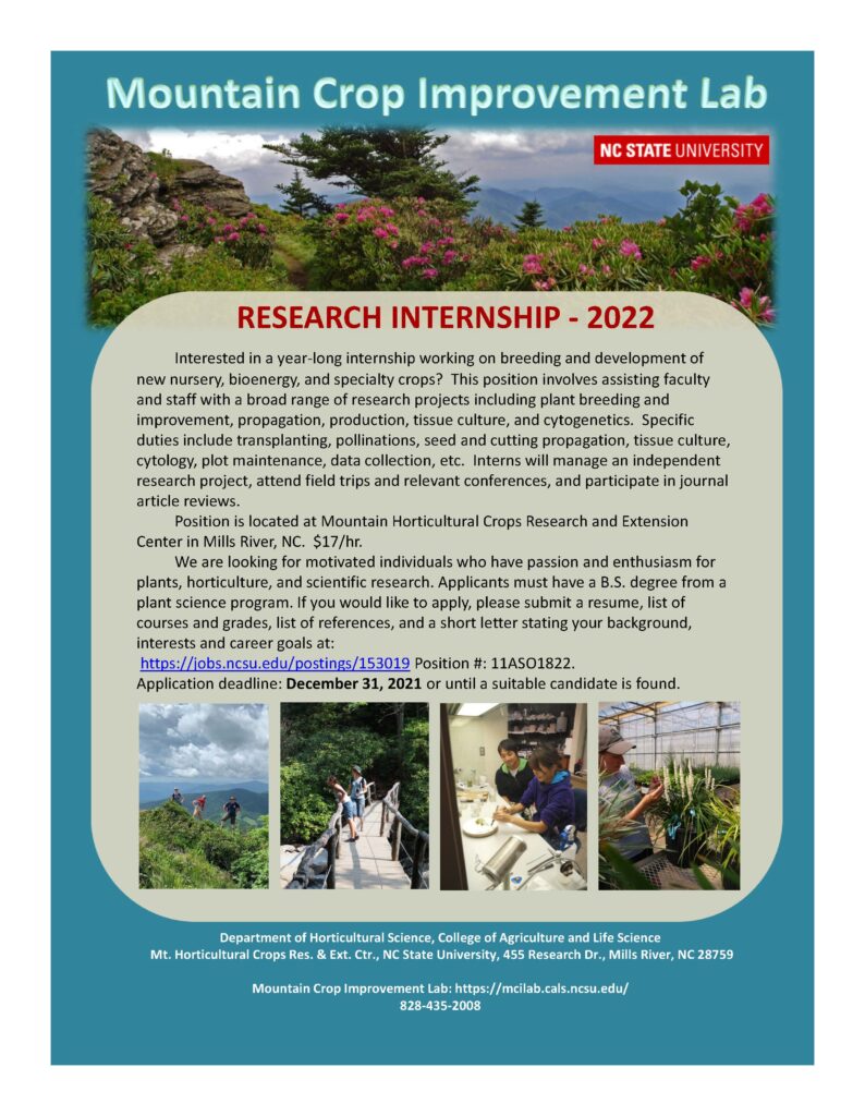 2022 research internship flyer image