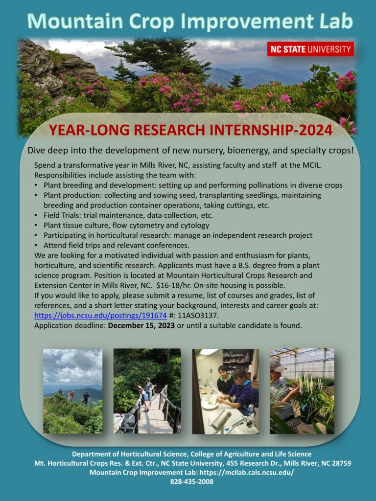 Year-long research internship 2024 flyer image