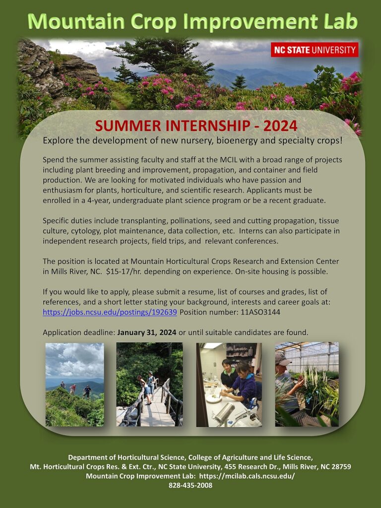 Summer 2024 Internships Near Me Jorie Katherina