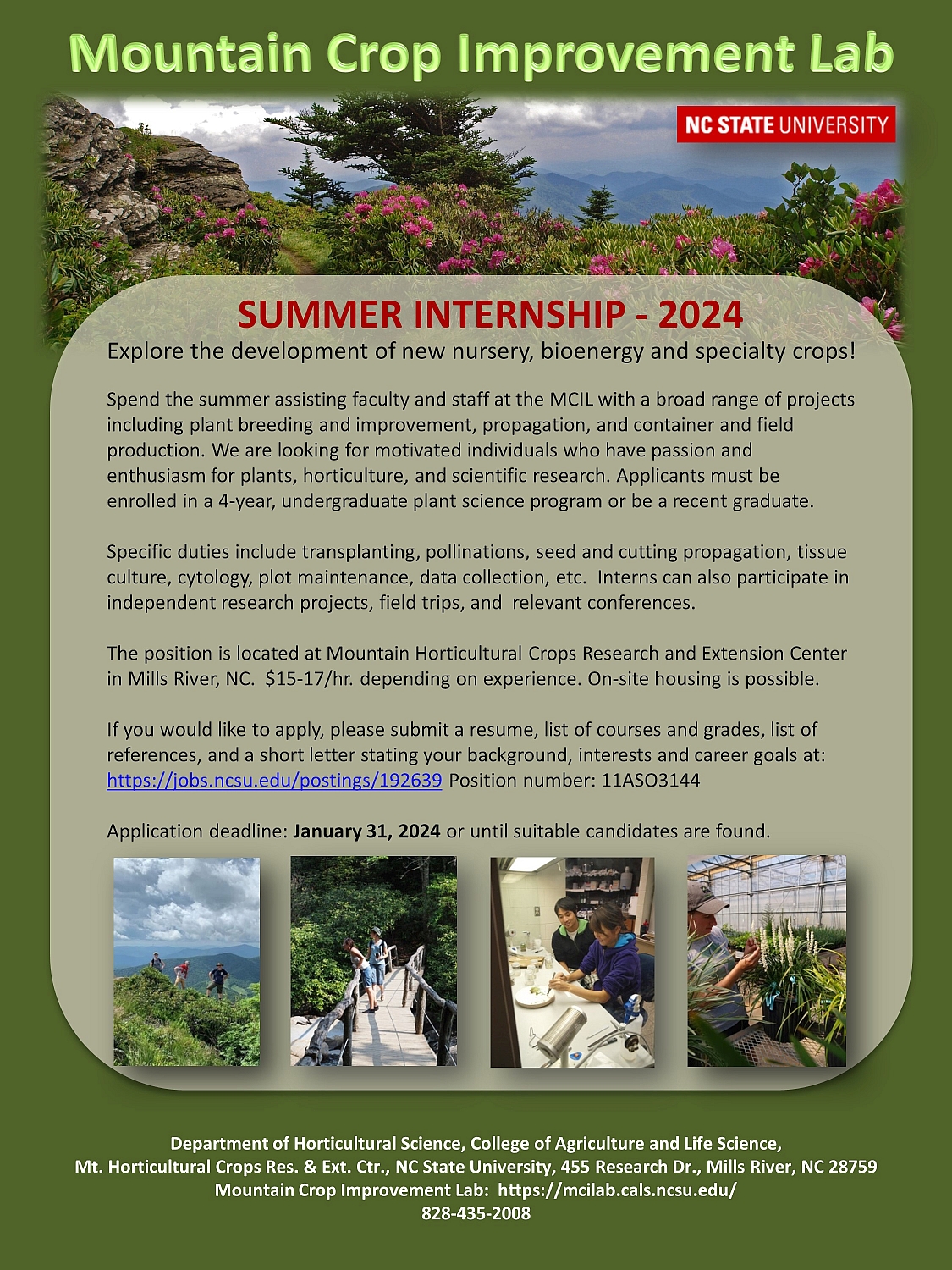 Summer internship 2024 flyer image